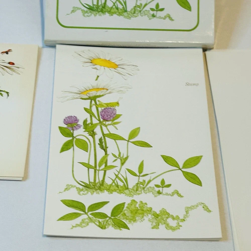 Vintage Current Daisy Time Stationery Set Unused Complete Botanical Floral